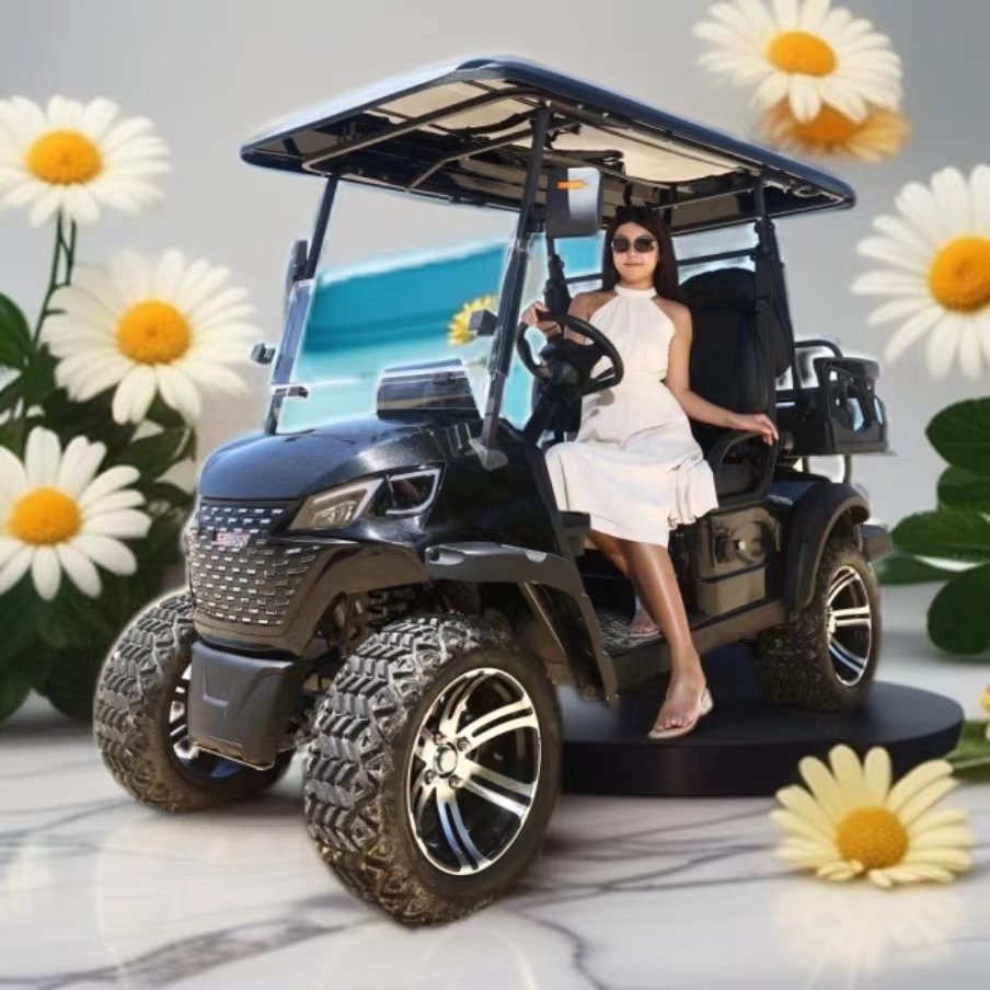 48V Golf Cart China Factory Direct Sales Club Car 2 Seats Cheap Electric Golf Cart DOT