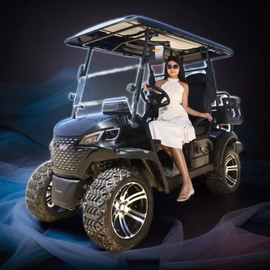 48V Golf Cart China Factory Direct Sales Club Car 2 Seats Cheap Electric Golf Cart DOT