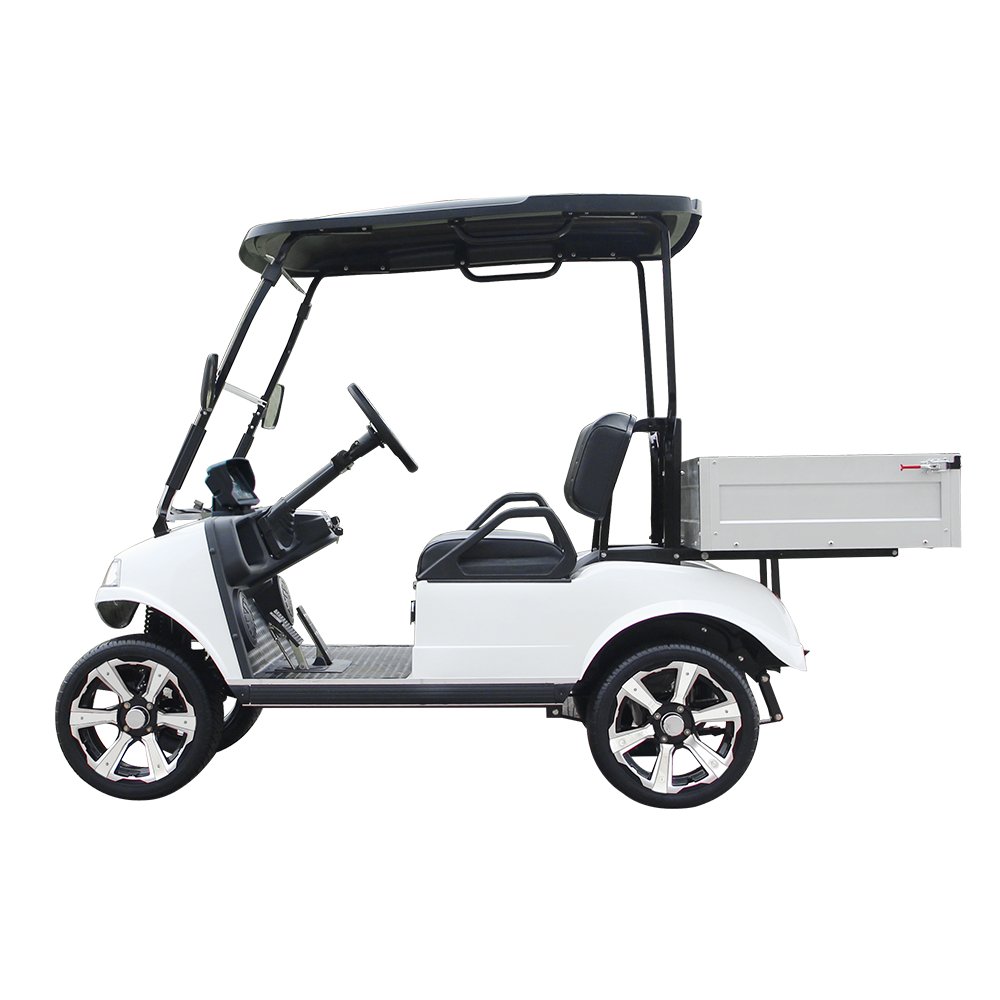HDK EVOLUTION Cargo Box Utility Vehicle for Sale Mini Truck 48V UTV ATV Electric Buggy Golf Cart Pick up