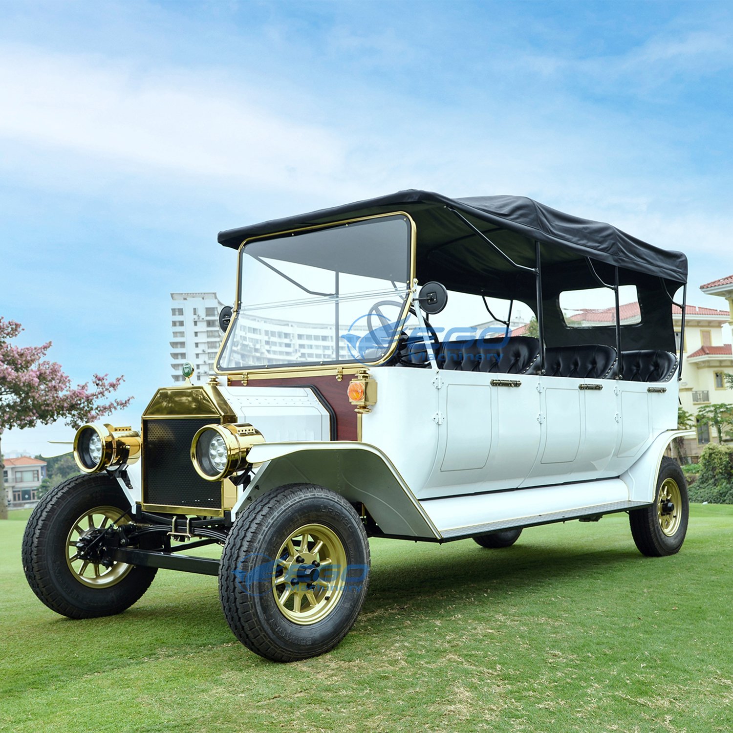 Classic Vintage Electric Vehicle for 4-5 People AC Motor Golf Carts CE Certified Sightseeing Bus & Car