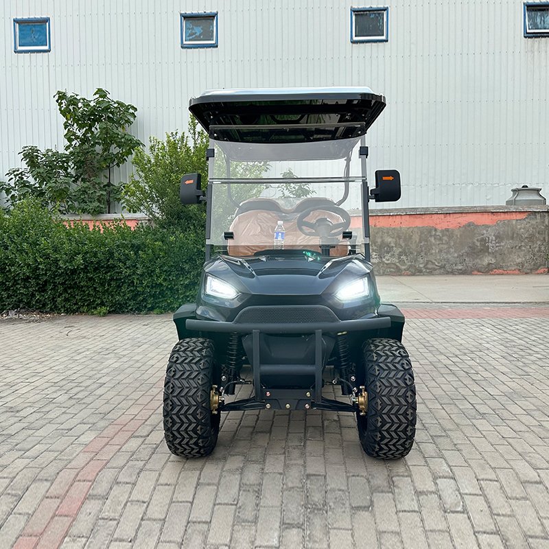 Electric Golf Cart for Ezgo Rxv Usage