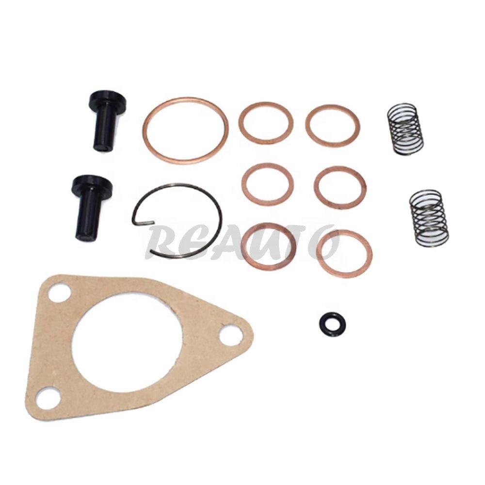 OE 2447010004 0609935 Oil Supply Pump Repair Kit for DAF/Renault/Scania Truck Spare Parts Accessories Wholesale