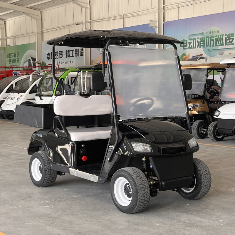 CE Certified 72V 7.5kw Battery-Powered Electric Golf Hunting Cart Buggy with Solid Wheels 4-Seater Buggy