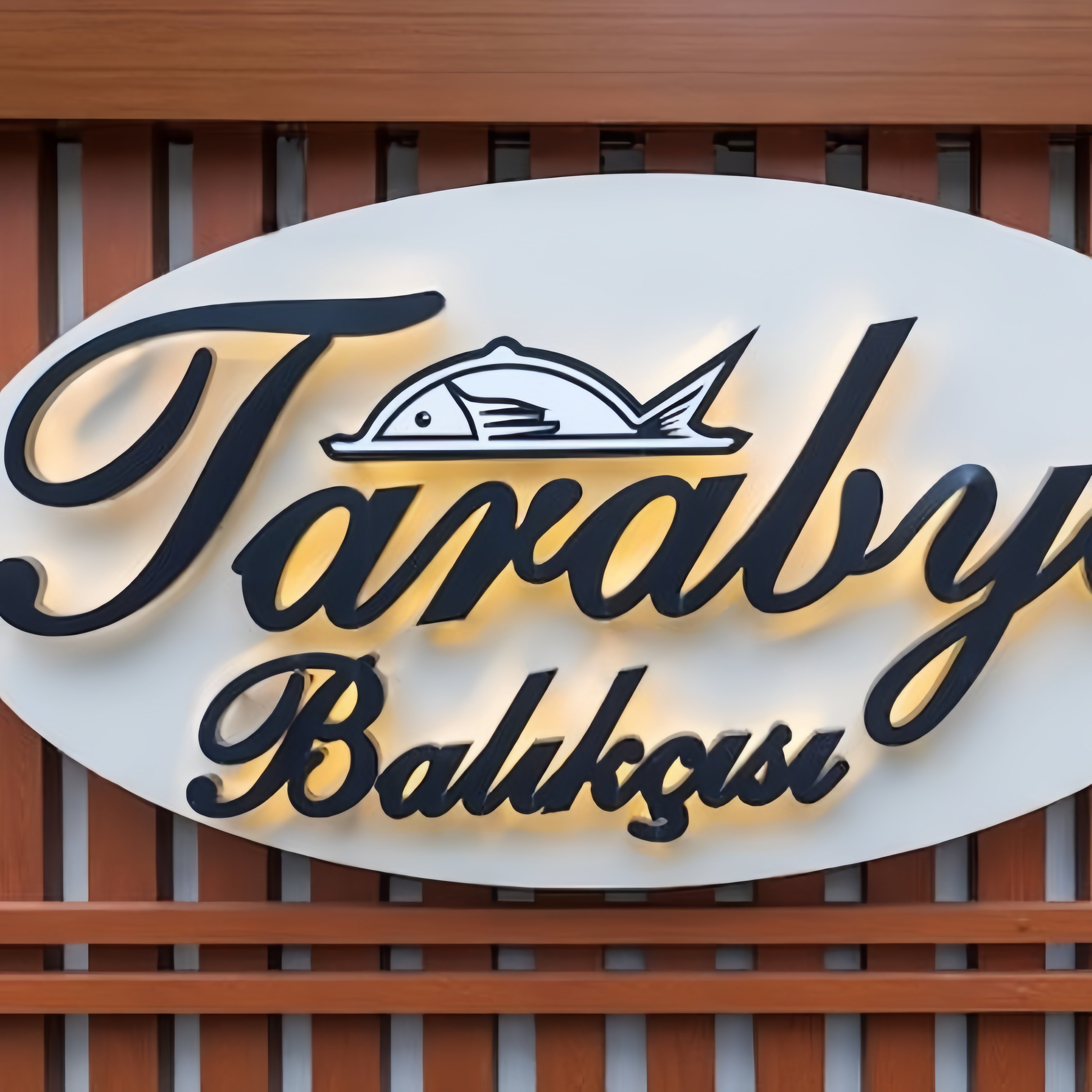 Custom Outdoor Business Wall logo Sign Led Light Backlit Led 3d logo Custom Interior Signs 3d logo