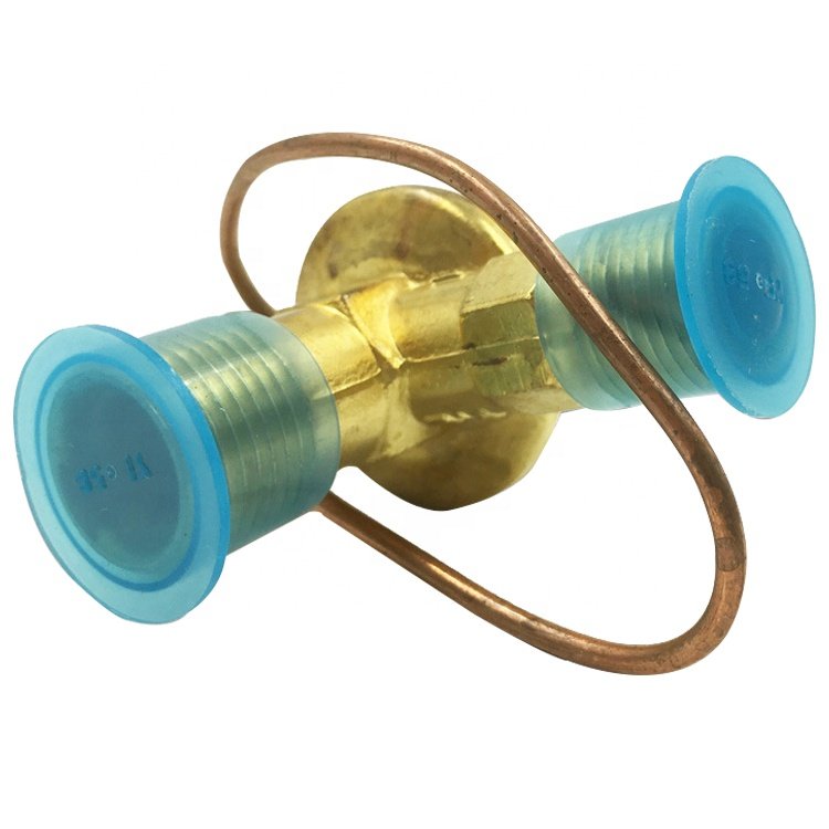 Hot Sale Factory Direct Car Expansion Valves for Truck and Bus Air Conditioning System New Condition