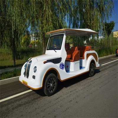 Tong Cai 4 Wheels Electric City Sightseeing Electric Shuttle Bus Golf Cart Electrical Vintage Sightseeing Car for Sale