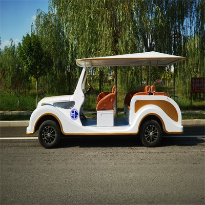 Tong Cai 4 Wheels Electric City Sightseeing Electric Shuttle Bus Golf Cart Electrical Vintage Sightseeing Car for Sale
