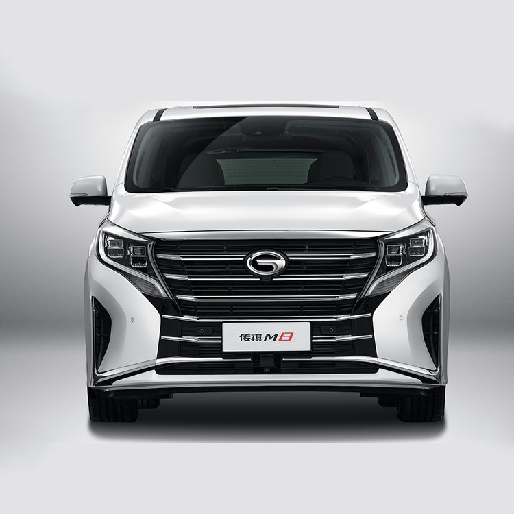 Grand Master Series Premium Hybrid Version MPV Vehicle LED Camera Electric Light Turbo Automatic Sunroof Aluminium Alloy Leather