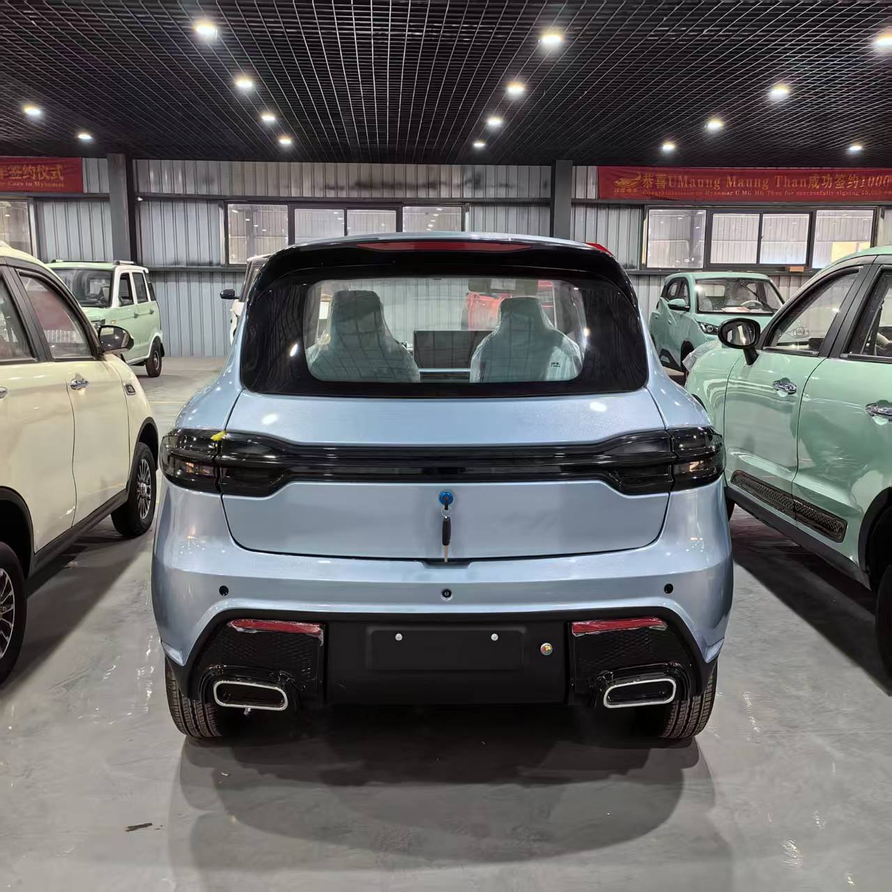 Manufacturer's Innovative Electric Sightseeing Bus and Car New Energy Vehicle