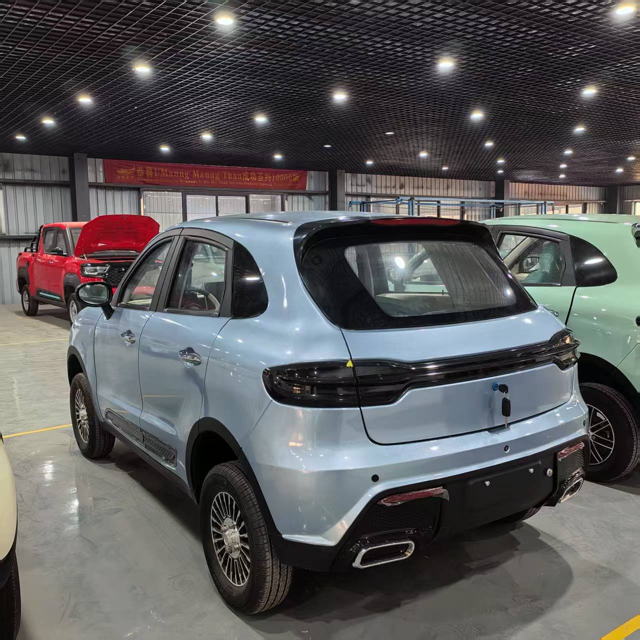 Manufacturer's Innovative Electric Sightseeing Bus and Car New Energy Vehicle
