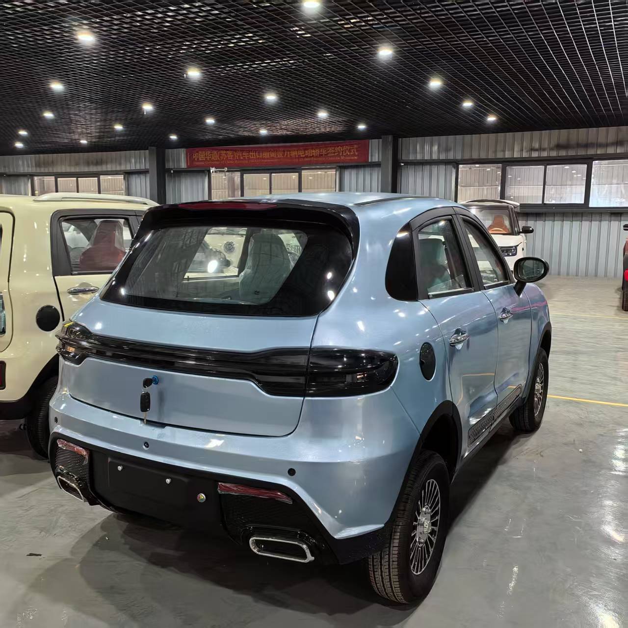 Manufacturer's Innovative Electric Sightseeing Bus and Car New Energy Vehicle