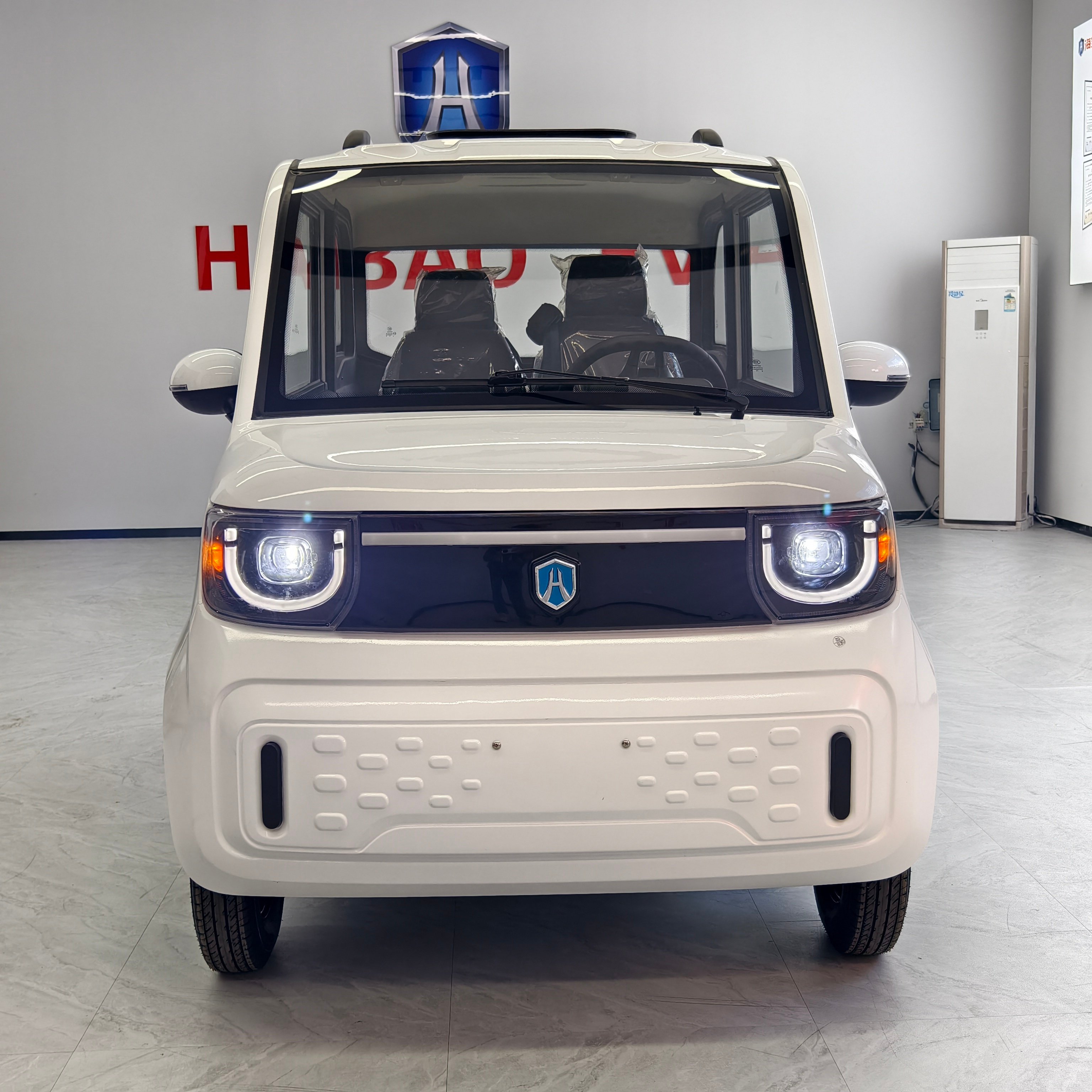 EEC Certified Four Wheel Recreational Passenger Electric Vehicle New Energy Mini Electric Vehicle