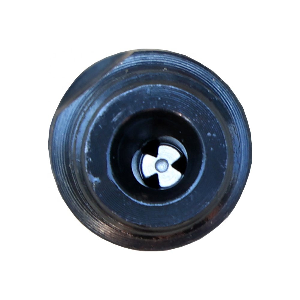 SINOTRUK HOWO Light Truck Original Engine Spare Parts 201V10100-6181 YUNNEI Oil Injector