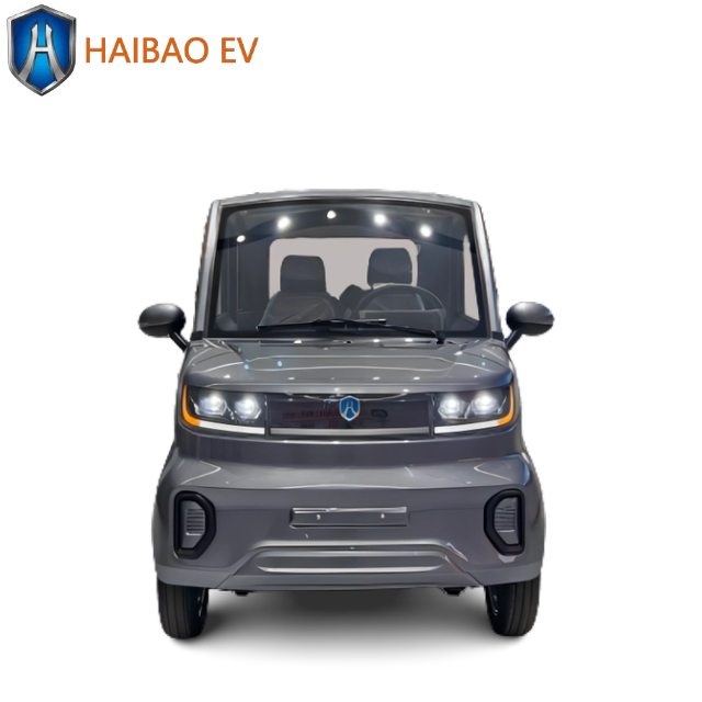 2024 China Made New Cars New Energy Vehicles Mini Car Cars for Sale