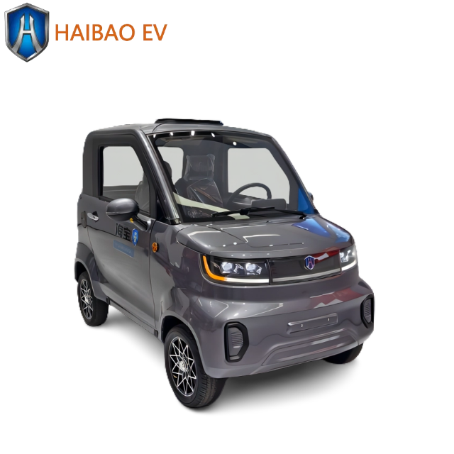 2024 China Made New Cars New Energy Vehicles Mini Car Cars for Sale