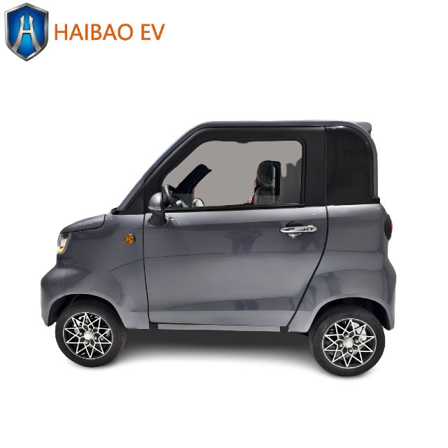 2024 China Made New Cars New Energy Vehicles Mini Car Cars for Sale