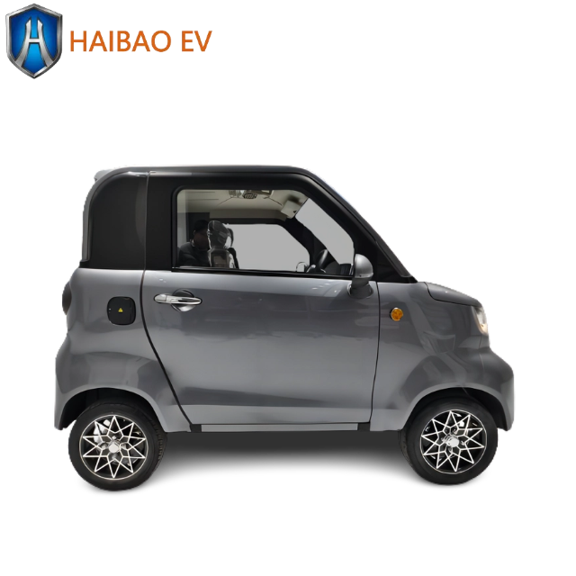 2024 China Made New Cars New Energy Vehicles Mini Car Cars for Sale