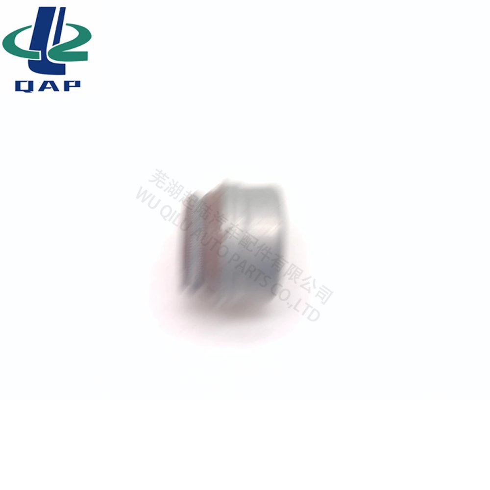 095640 Valve Stem Seal for Audi A6 A4 A2 11341736916 642533 095640