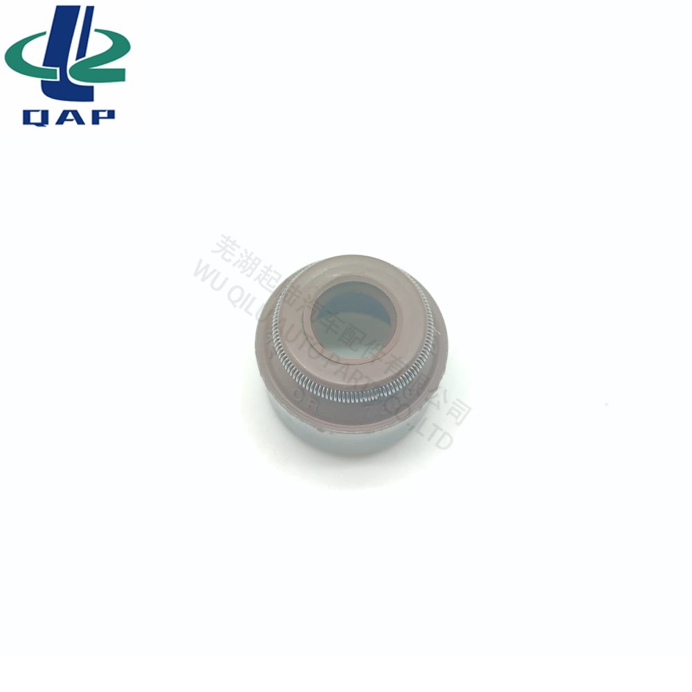 095640 Valve Stem Seal for Audi A6 A4 A2 11341736916 642533 095640