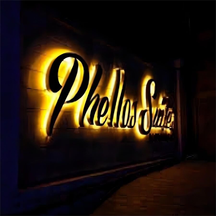 Custom Outdoor Business Wall Logo Sign LED Light Channel Backlit Letter Brushed Metal of 3D Logo Sign for Watch Shop