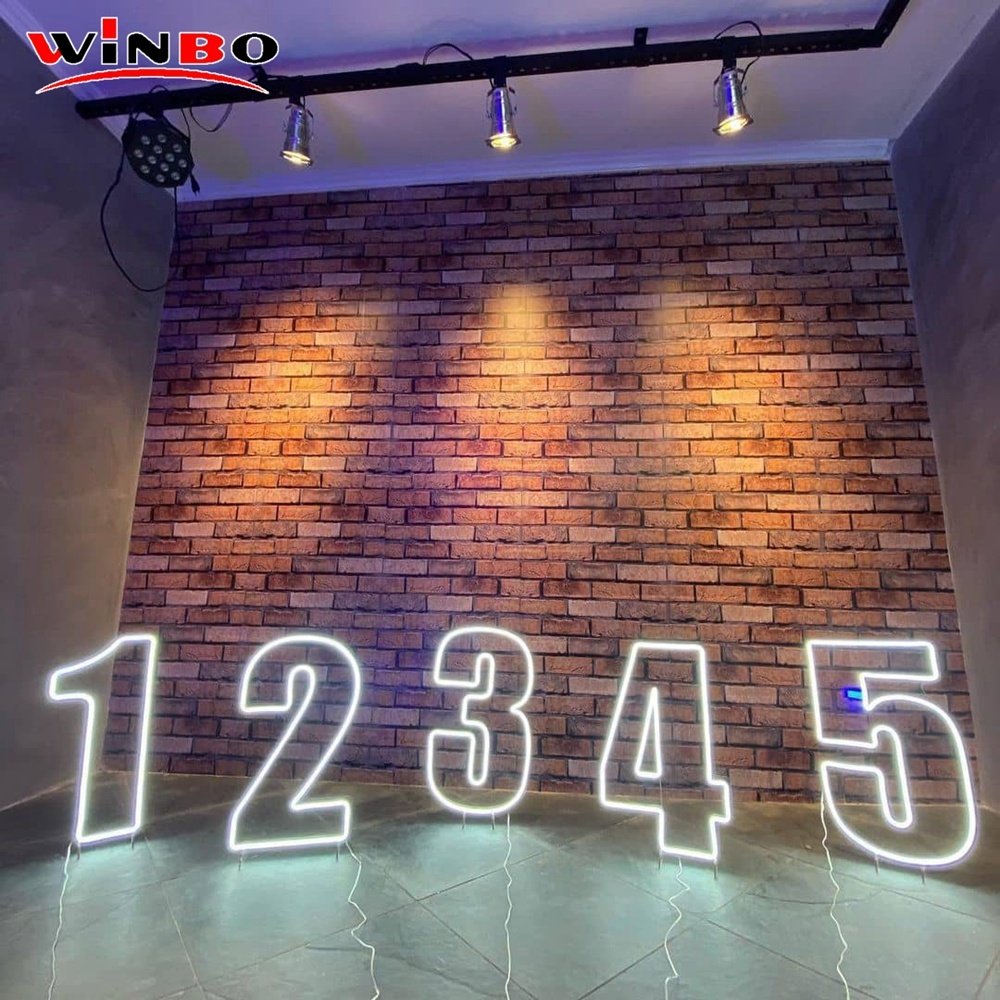 Custom 3D LED Illuminated Acrylic Sign PVC Lighted Letter Sign Commercial Use Companies Offices Malls Parks of Channel Letter