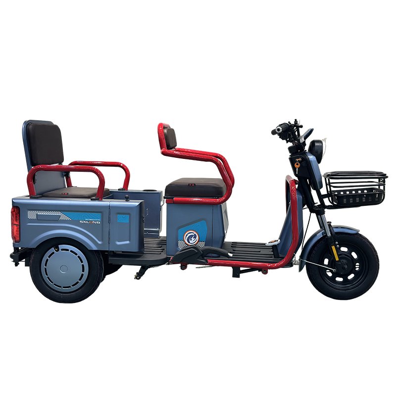 Manufacturing Plant Motor Controller Passenger Scooter Engine Piston Ring 3 Wheel Electric Tricycle