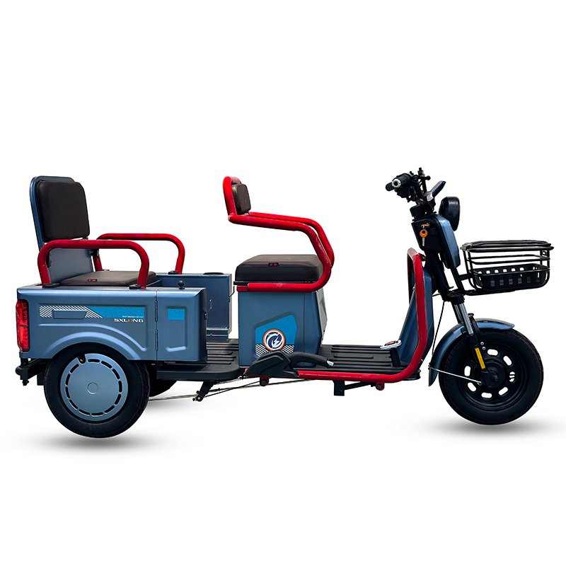 Manufacturing Plant Motor Controller Passenger Scooter Engine Piston Ring 3 Wheel Electric Tricycle