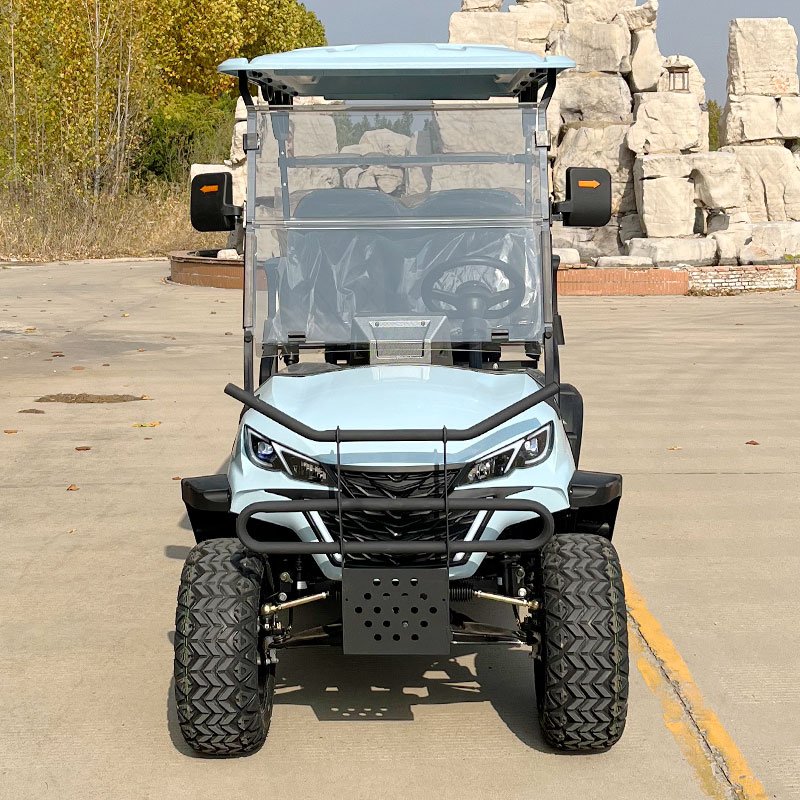 Popular Design Electric Vehicle Club Car Steel Plastic Golf Scooter Buggy 2 4 6 8 Seats Golf Cart With Curtis Controller