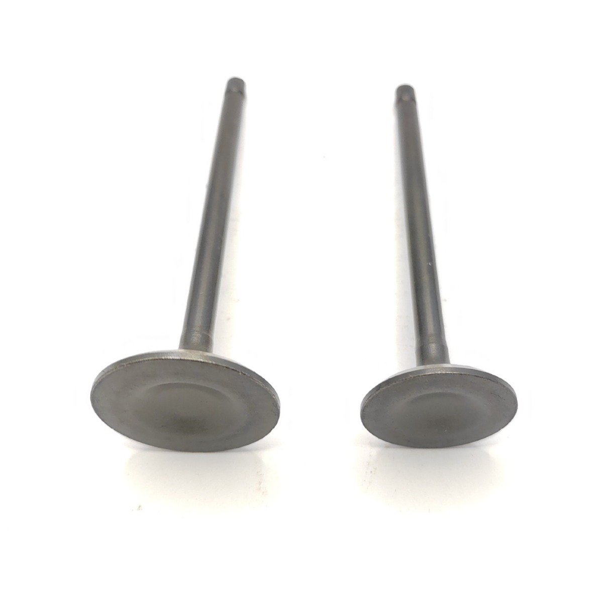 Good Quality Motorcycle Gear CG200 GS125 GN125 EN125 Motorcycle Accessories Exhaust Valves with Oil Seal for Various Models