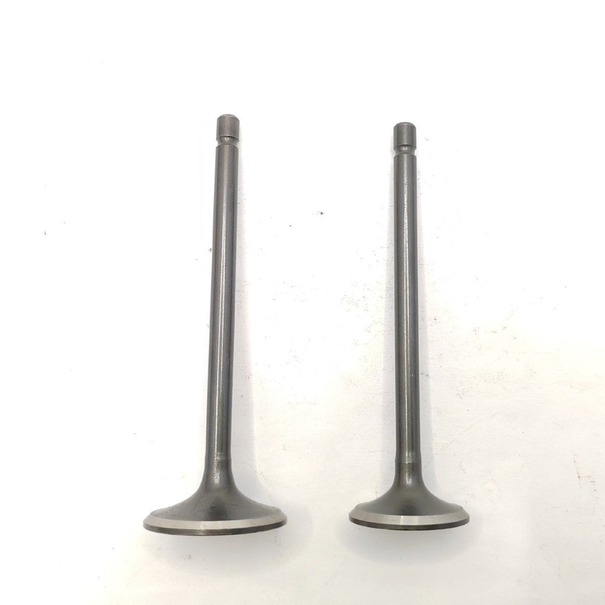 Good Quality Motorcycle Gear CG200 GS125 GN125 EN125 Motorcycle Accessories Exhaust Valves with Oil Seal for Various Models
