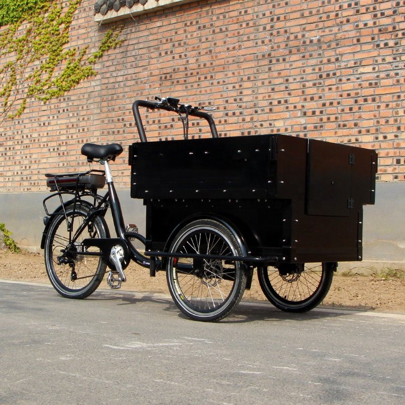 Chinese Best Quality Large Cargo Carriage Bike 3 Wheel Cargo Tricycle for Sale
