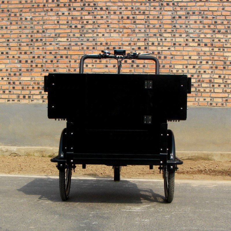 Chinese Best Quality Large Cargo Carriage Bike 3 Wheel Cargo Tricycle for Sale