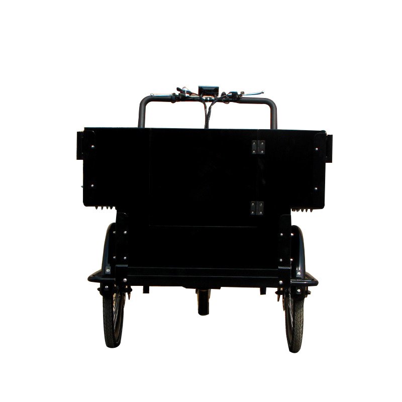 Chinese Best Quality Large Cargo Carriage Bike 3 Wheel Cargo Tricycle for Sale