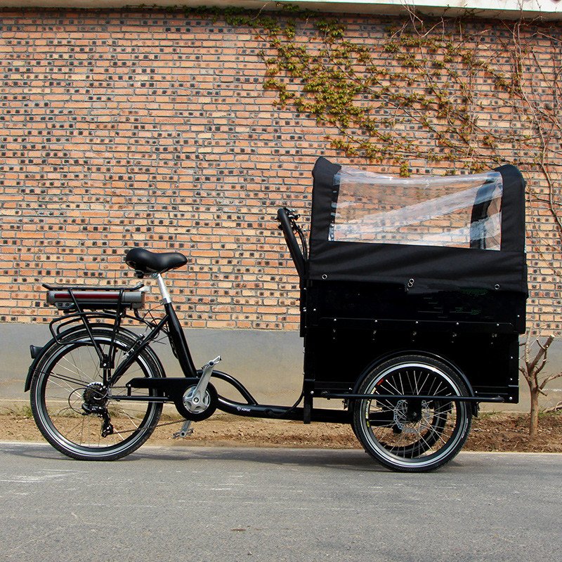 Chinese Best Quality Large Cargo Carriage Bike 3 Wheel Cargo Tricycle for Sale