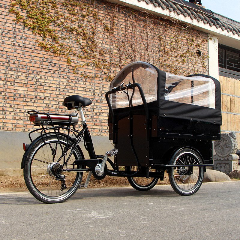 Chinese Best Quality Large Cargo Carriage Bike 3 Wheel Cargo Tricycle for Sale