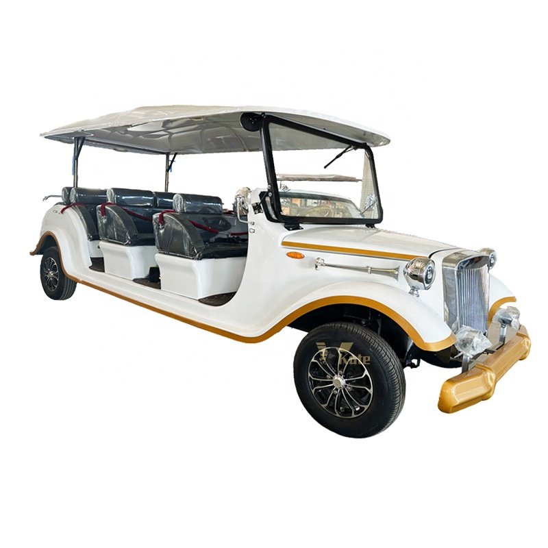 Factory Outlet Perfect New Energy Sightseeing Vehicle Black Sport Car Electric Sports Car