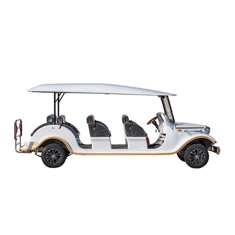 Factory Outlet Perfect New Energy Sightseeing Vehicle Black Sport Car Electric Sports Car