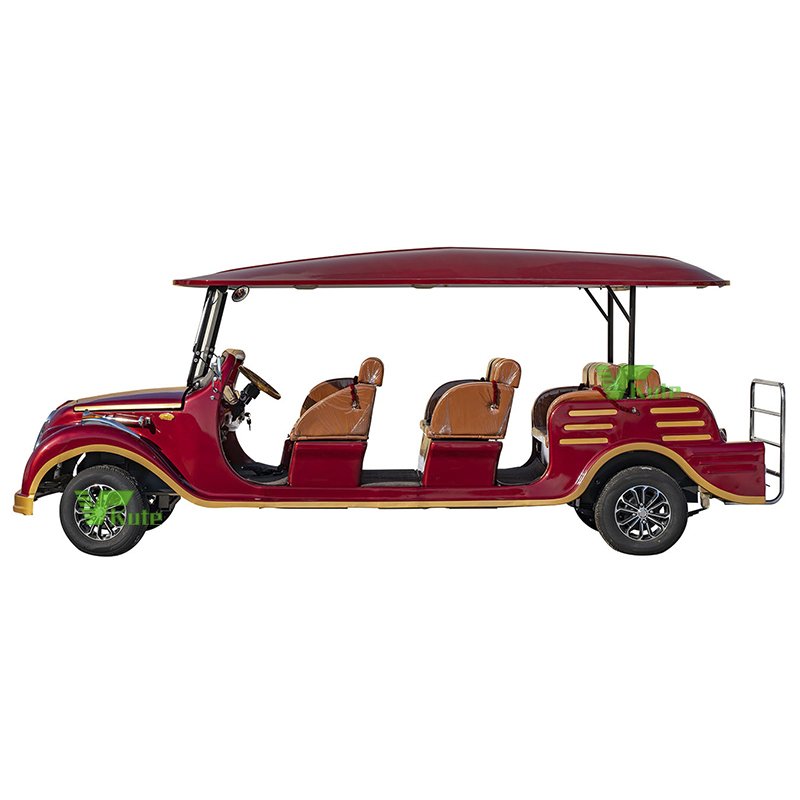 Factory Outlet Perfect New Energy Sightseeing Vehicle Black Sport Car Electric Sports Car