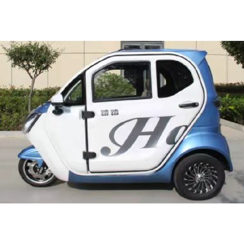 Custom Cheap Price 3 Three Wheel Electric Tricycl for Handicapped