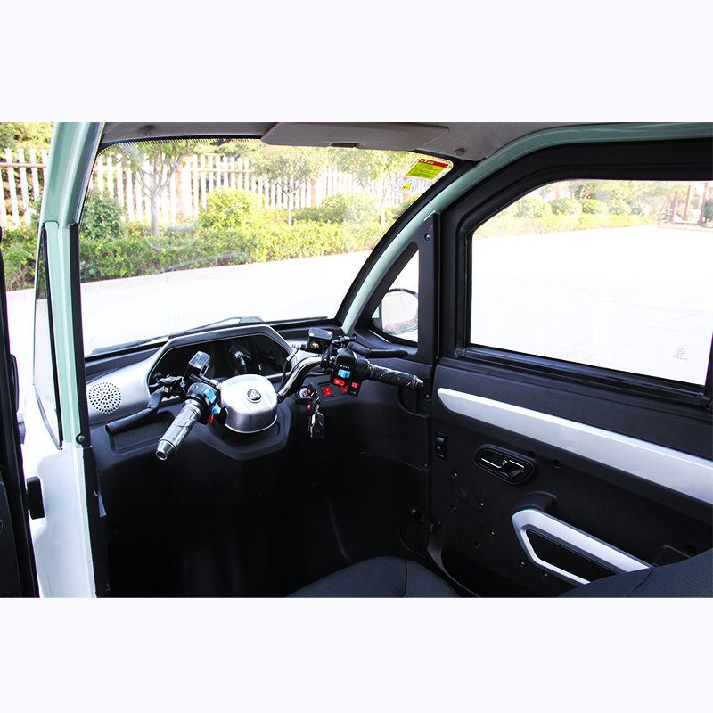 Custom Cheap Price 3 Three Wheel Electric Tricycl for Handicapped
