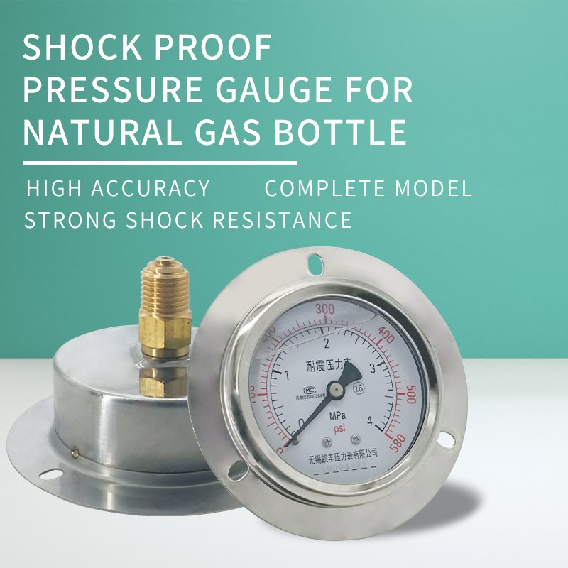 OEM Factory Customized Bus Accessories Shock-absorbing 0-580 PSI Fuel Pressure Gauge 0-4 Mpa for China Bus Customized Parts