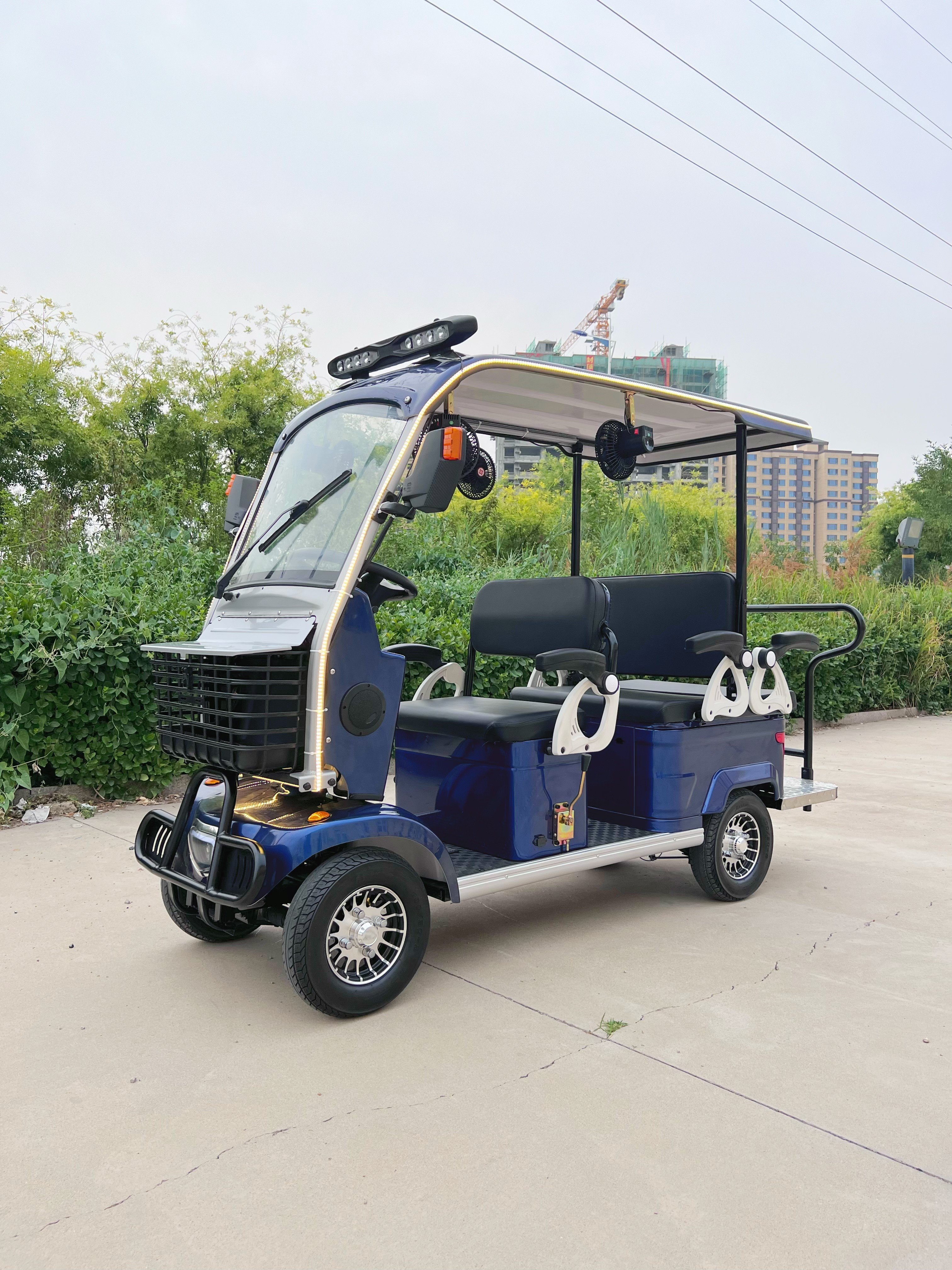Factory Sale Sightseeing Bus Electric Vehicles 1200w Brushless Motor Customized 4 Seat Rental Business