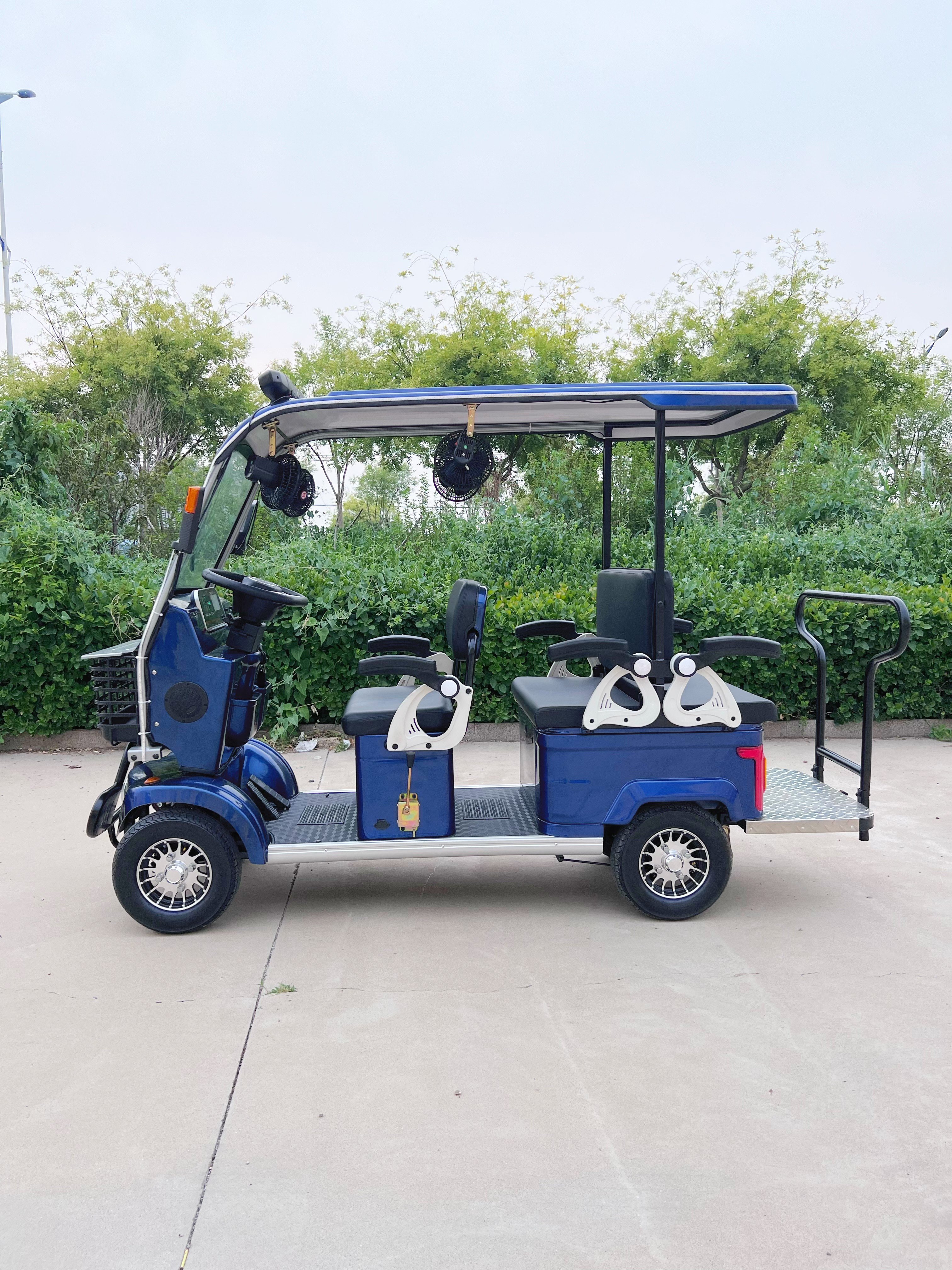 Factory Sale Sightseeing Bus Electric Vehicles 1200w Brushless Motor Customized 4 Seat Rental Business