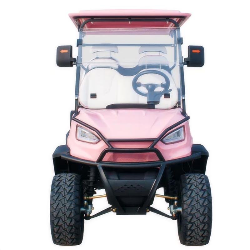 2+2 4 Seat Electric Golf Buggy Hunting Cart Sightseeing Bus Club Cart with DOT