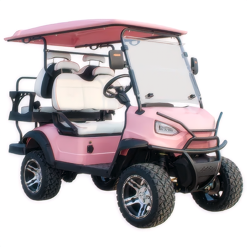 2+2 4 Seat Electric Golf Buggy Hunting Cart Sightseeing Bus Club Cart with DOT