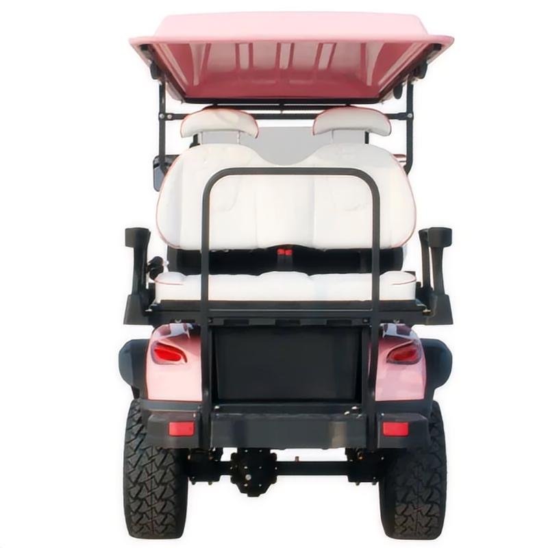 2+2 4 Seat Electric Golf Buggy Hunting Cart Sightseeing Bus Club Cart with DOT