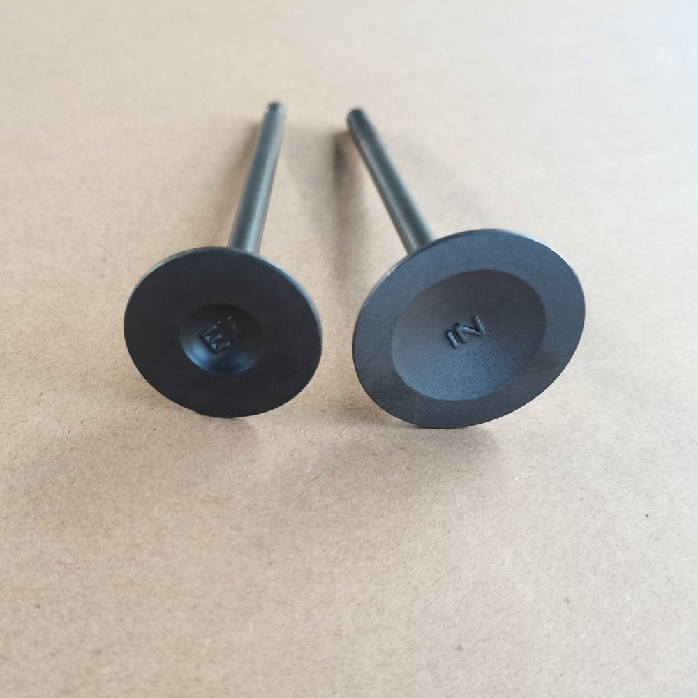 QR20DE QR25DE Engine Valve 13201-8H300 13202-6N200 Used for Nissan NP300 NAVARA 2.5 Engine for Sale