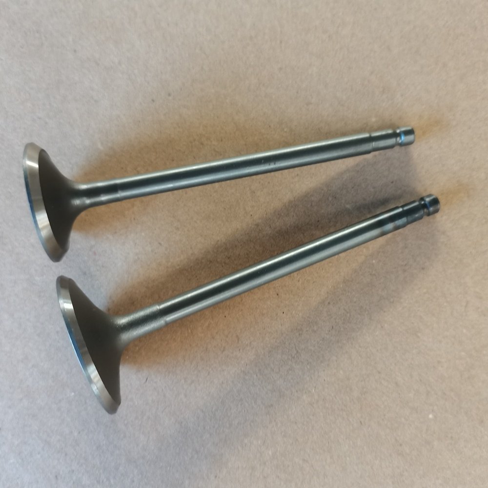 QR20DE QR25DE Engine Valve 13201-8H300 13202-6N200 Used for Nissan NP300 NAVARA 2.5 Engine for Sale