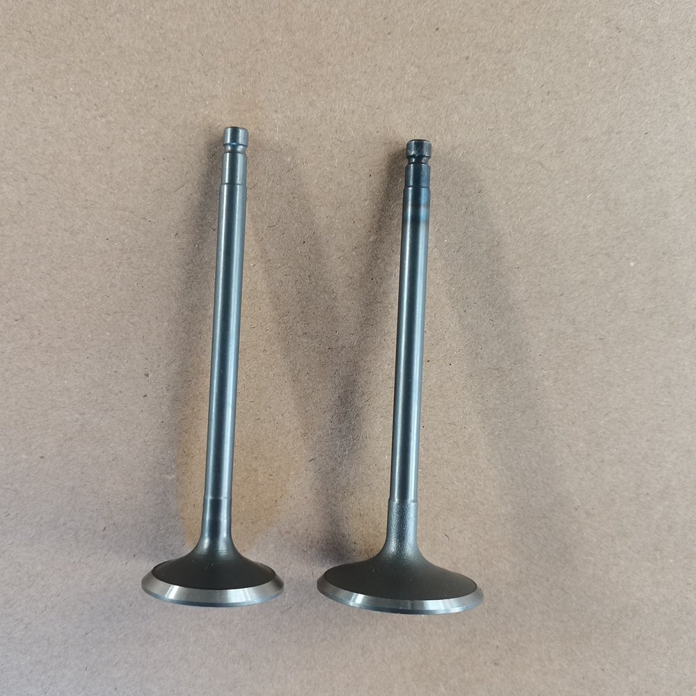 QR20DE QR25DE Engine Valve 13201-8H300 13202-6N200 Used for Nissan NP300 NAVARA 2.5 Engine for Sale