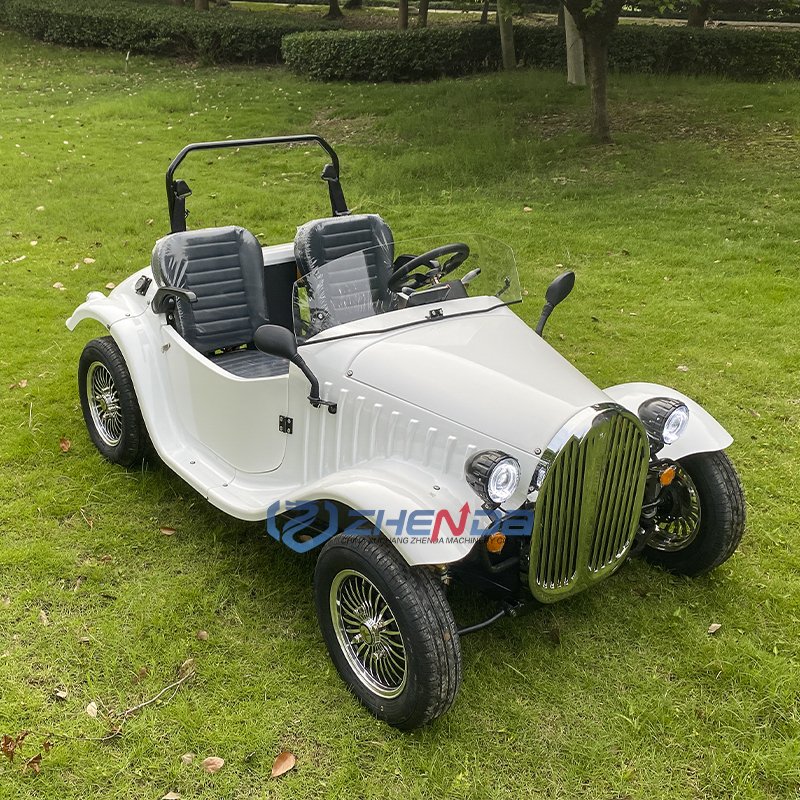 New Cars Luxurious Car Hot Sale Brand Vintage Classic Travel Sightseeing 2 Seats Sightseeing Electric Car